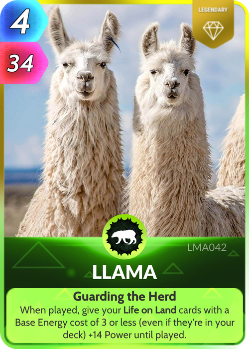 Highly social creatures, Llamas have been known to adopt a group of sheep or goats as their own