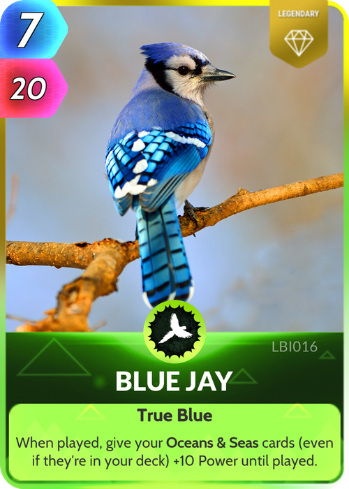Did you know that Blue Jays aren't actually blue? Let CUE enlighten you...