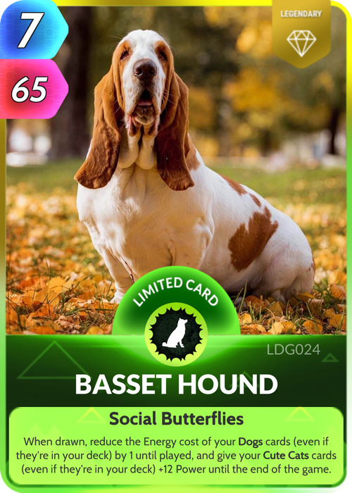 Although they can be stubborn, once trained, Basset Hounds can make for excellent companions or hired scent detectors.