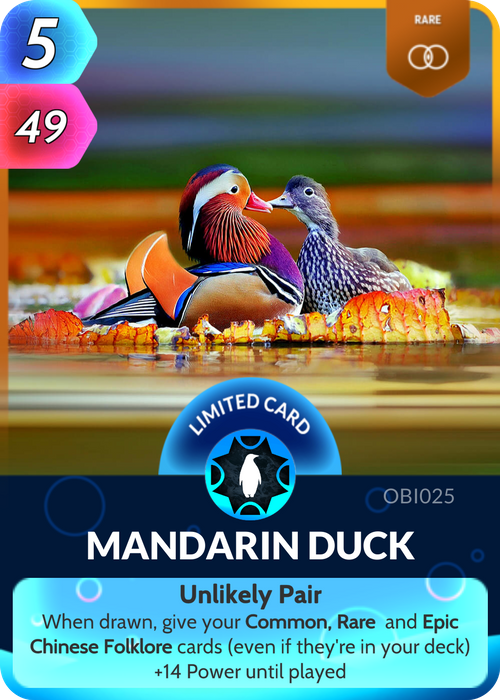 Often regarded as the most beautiful species of duck, the drake Mandarin Duck’s ornate plumage has made the creature a staple of Chinese art