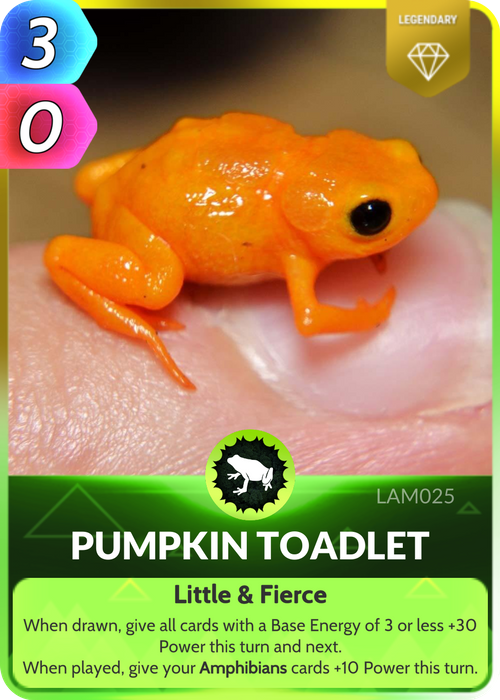 In size, the Pumpkin Toadlet is no bigger than a fingernail, but it is highly poisonous.