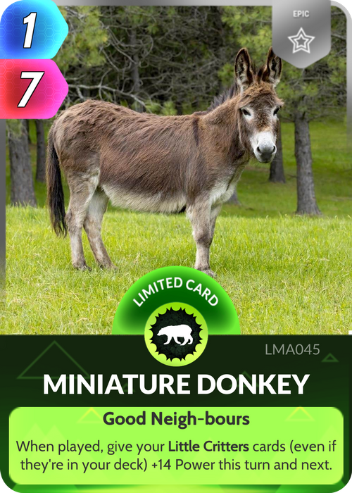 Good things come in small packages. Case in point: the Miniature Donkey.