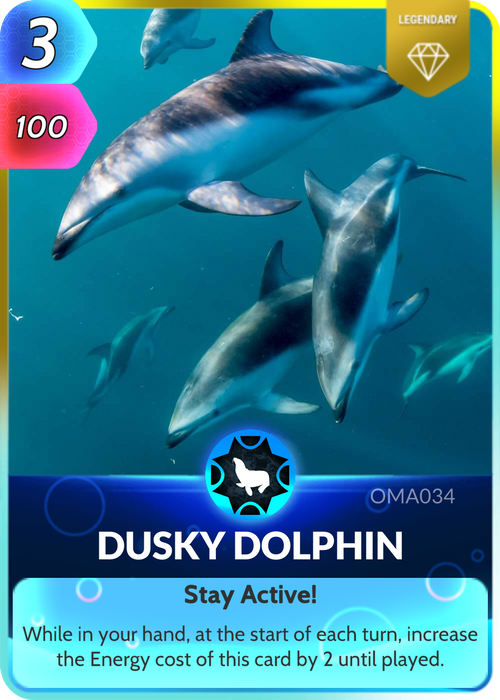 The Dusky Dolphin can be found in coastal areas of the Southern Hemisphere and can hunt in total darkness!