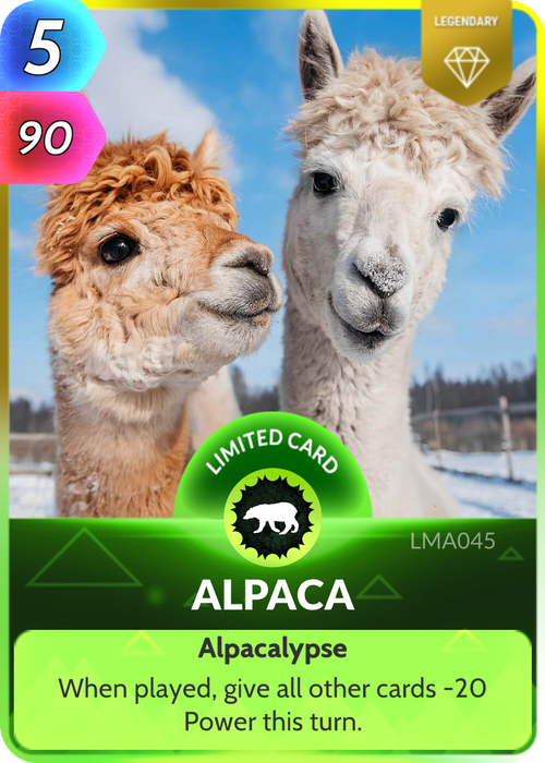 Like its cousin the llama, the Alpaca was domesticated over 6,000 years ago by the Incas, who reared them for their perfect coats.