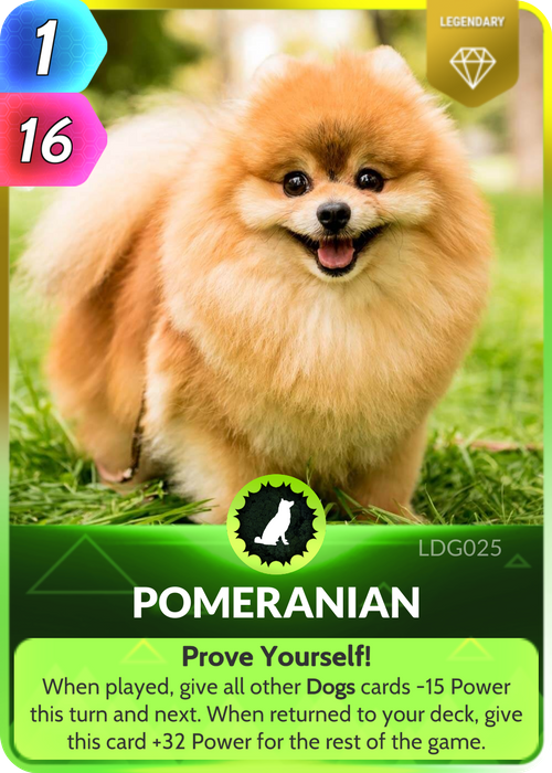 Unsurprisingly, it’s one of the most popular breeds of small dog: the Pomeranian is a real-life teddy bear.