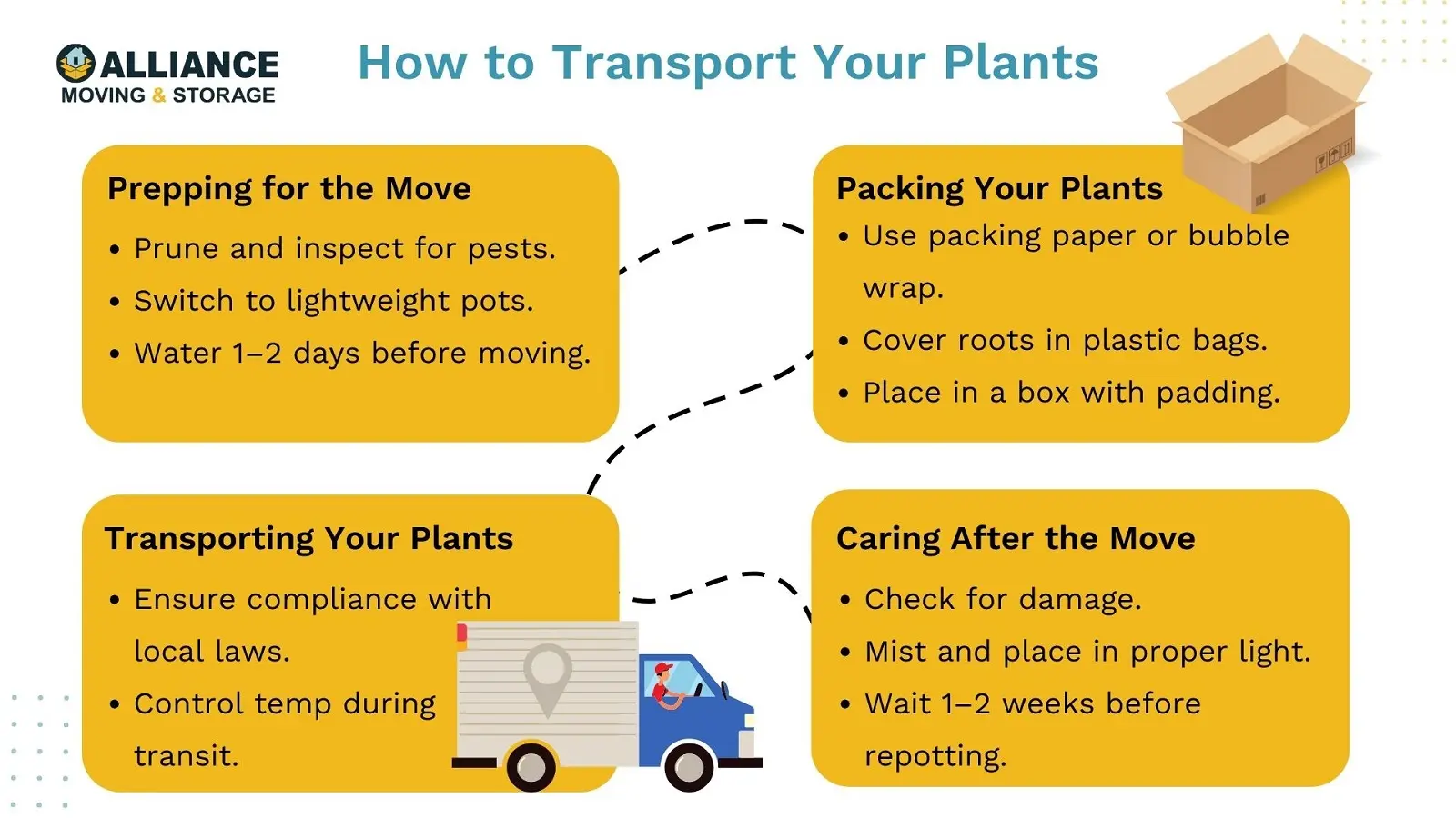 How to transport plants safely
