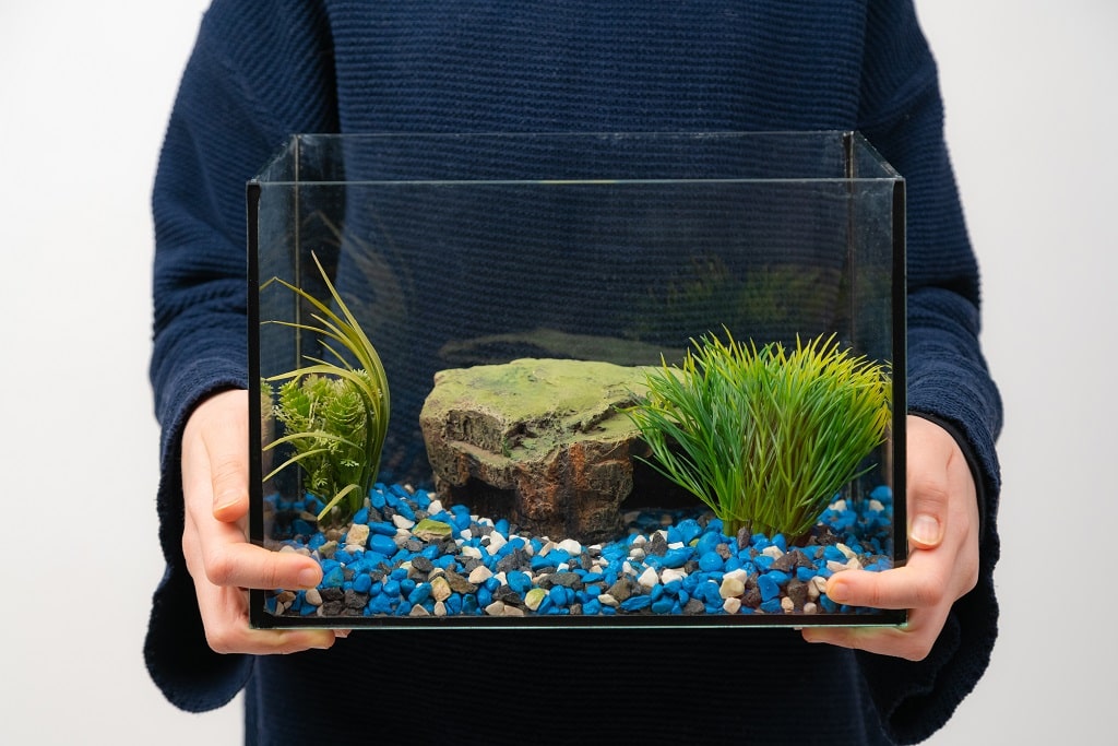 moving fish tanks