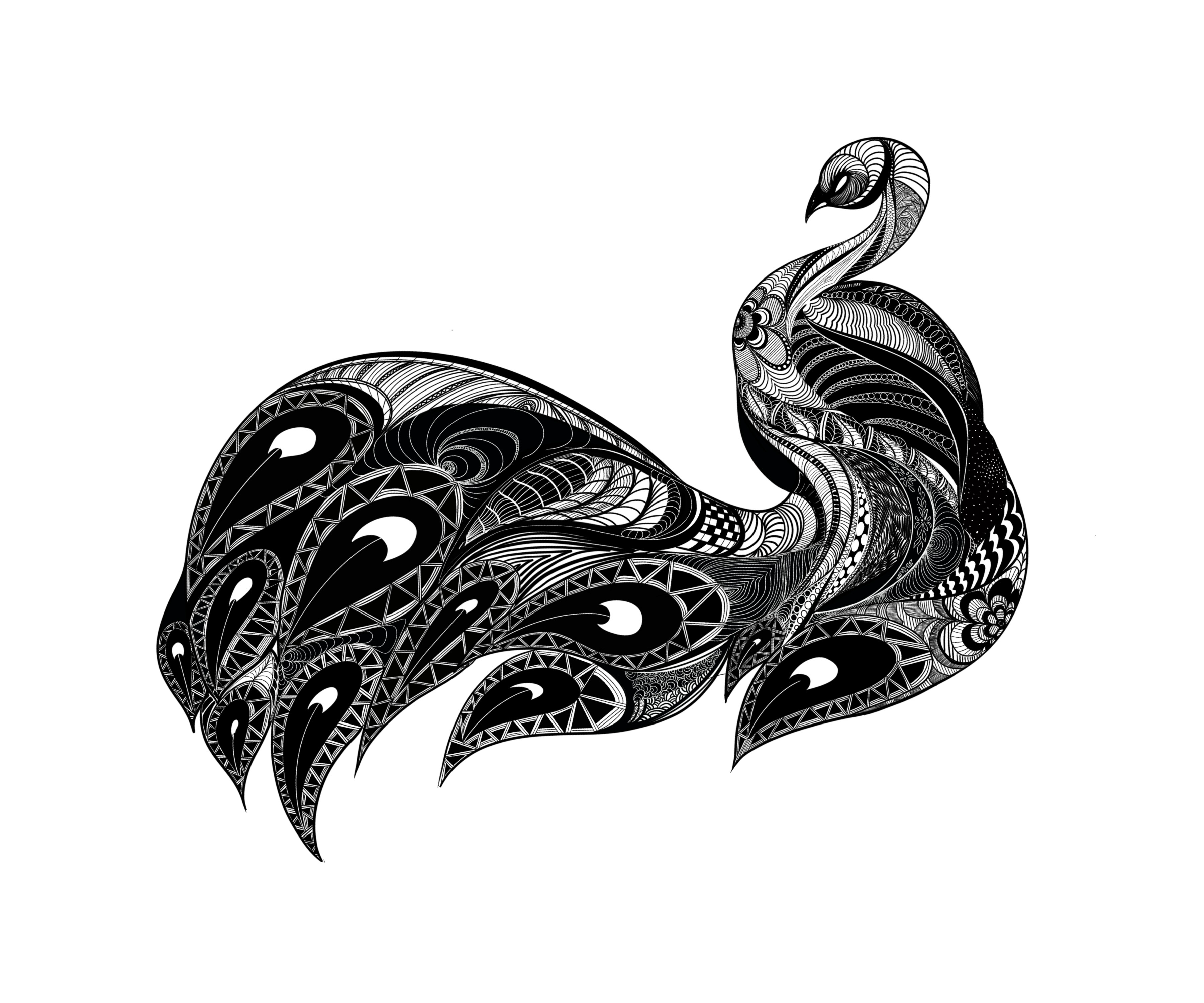 Black and white drawing of a peacock with various lines and shapes filling in its silhouette. 