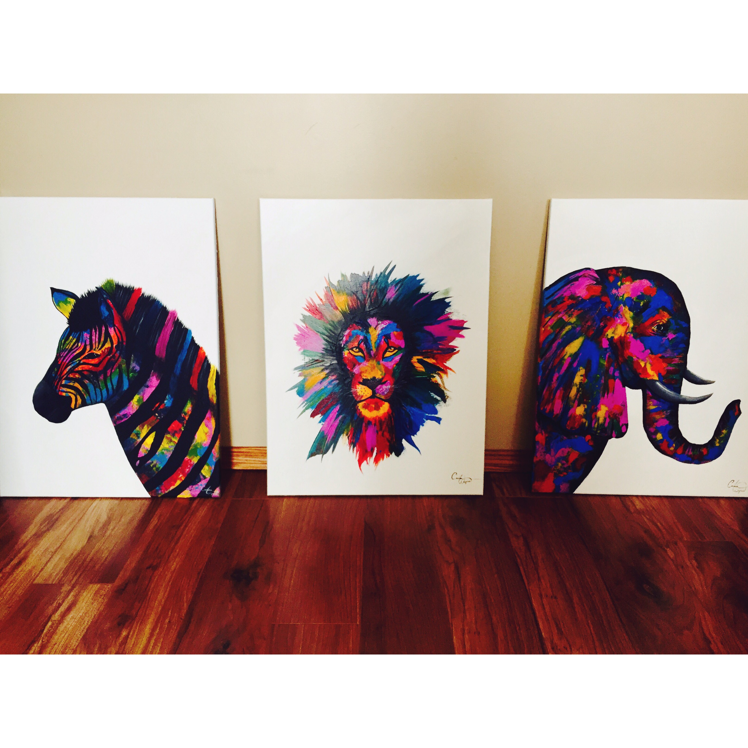 Set of three paintings of a zebra, lion and elephant in rainbow colours 