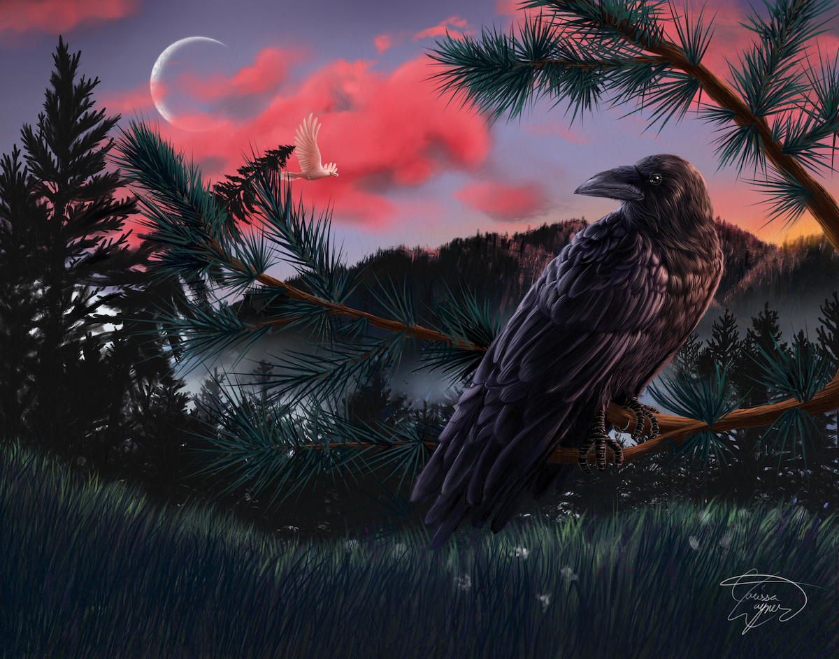 Digital painting of a raven sitting on a branch, in the background there are mountains, pine trees, pink clouds and a setting sun. 