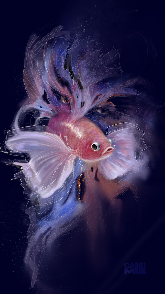 Digital painting of a pink beta fish with a blue background. The fins morph into a face in the background. 