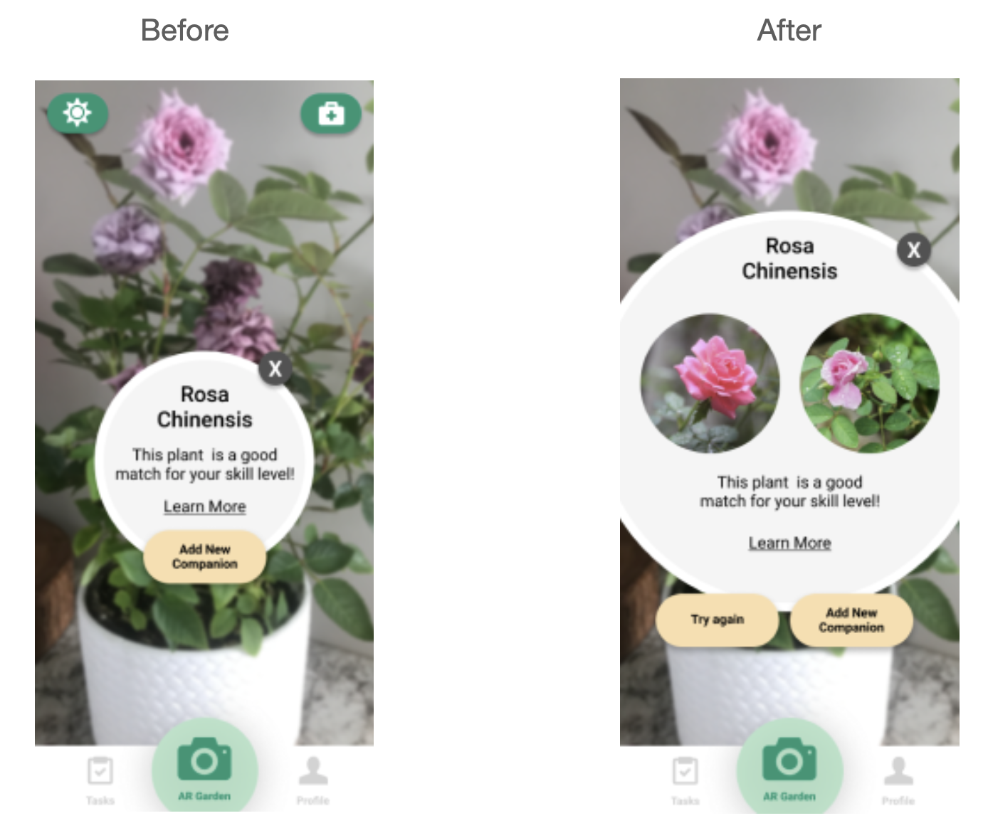 Before and after of sprouts plant identification feature. Updates include a try again button and images of the identified plant. 