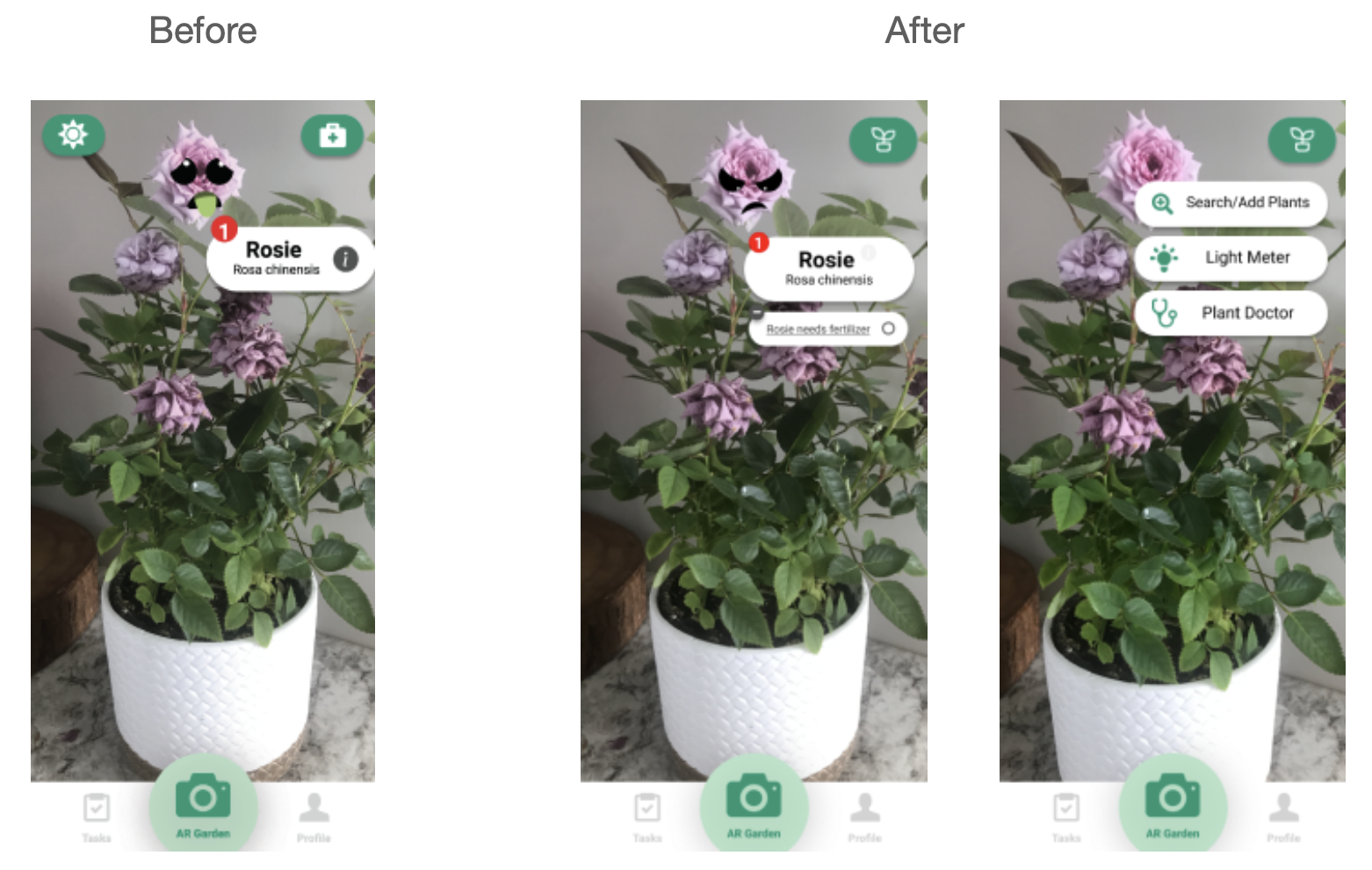 before and after of sprouts app with updated icons and features including search, light meter and plant doctor. 