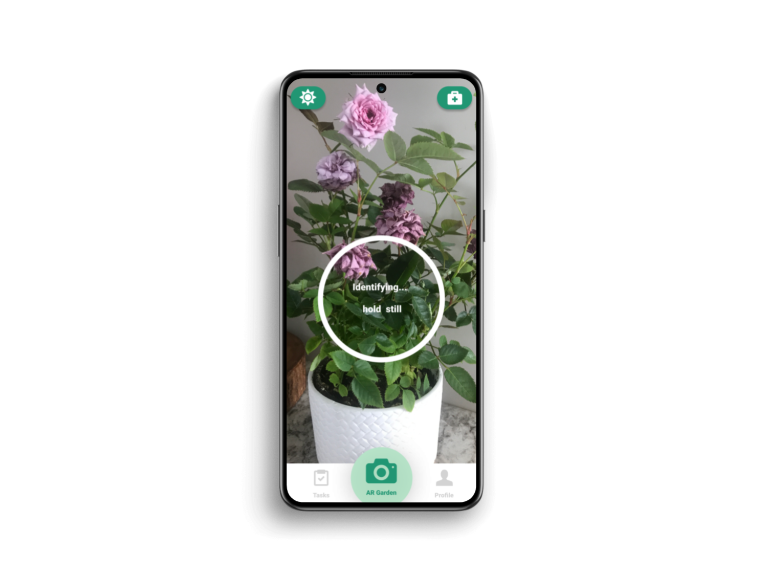 Image of sprouts app identification feature loading after user has taken a picture of a plant. 