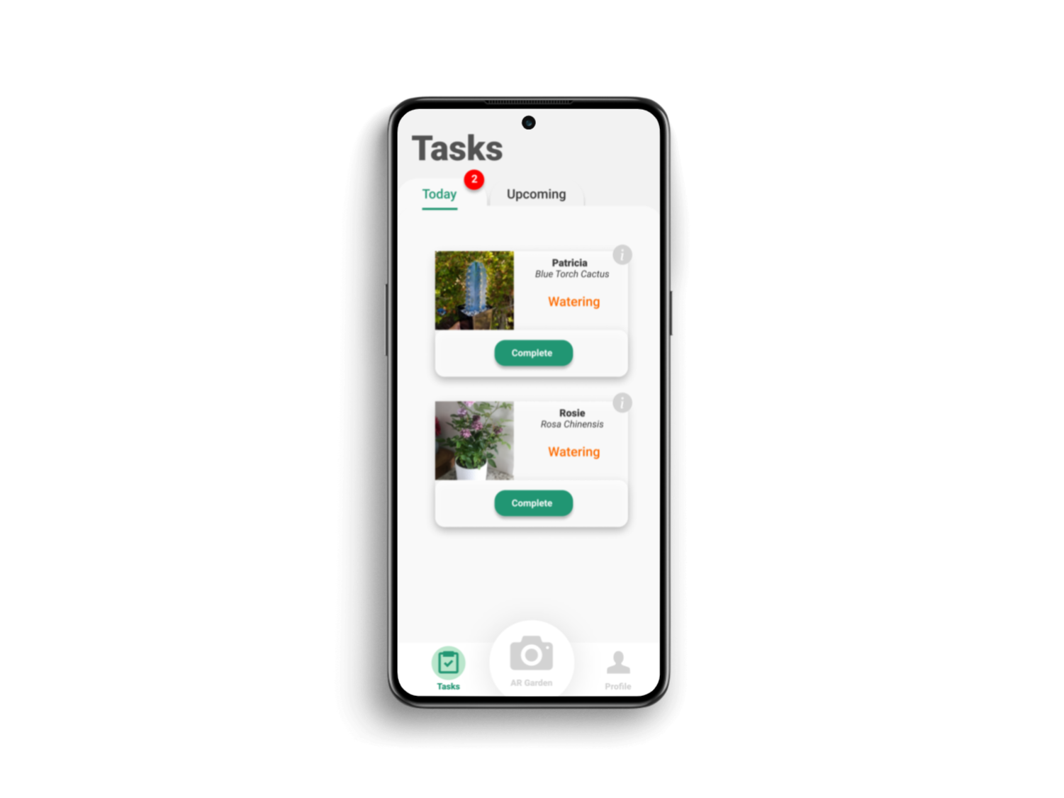 Image of sprouts reminders feature - showing two unfinished watering tasks