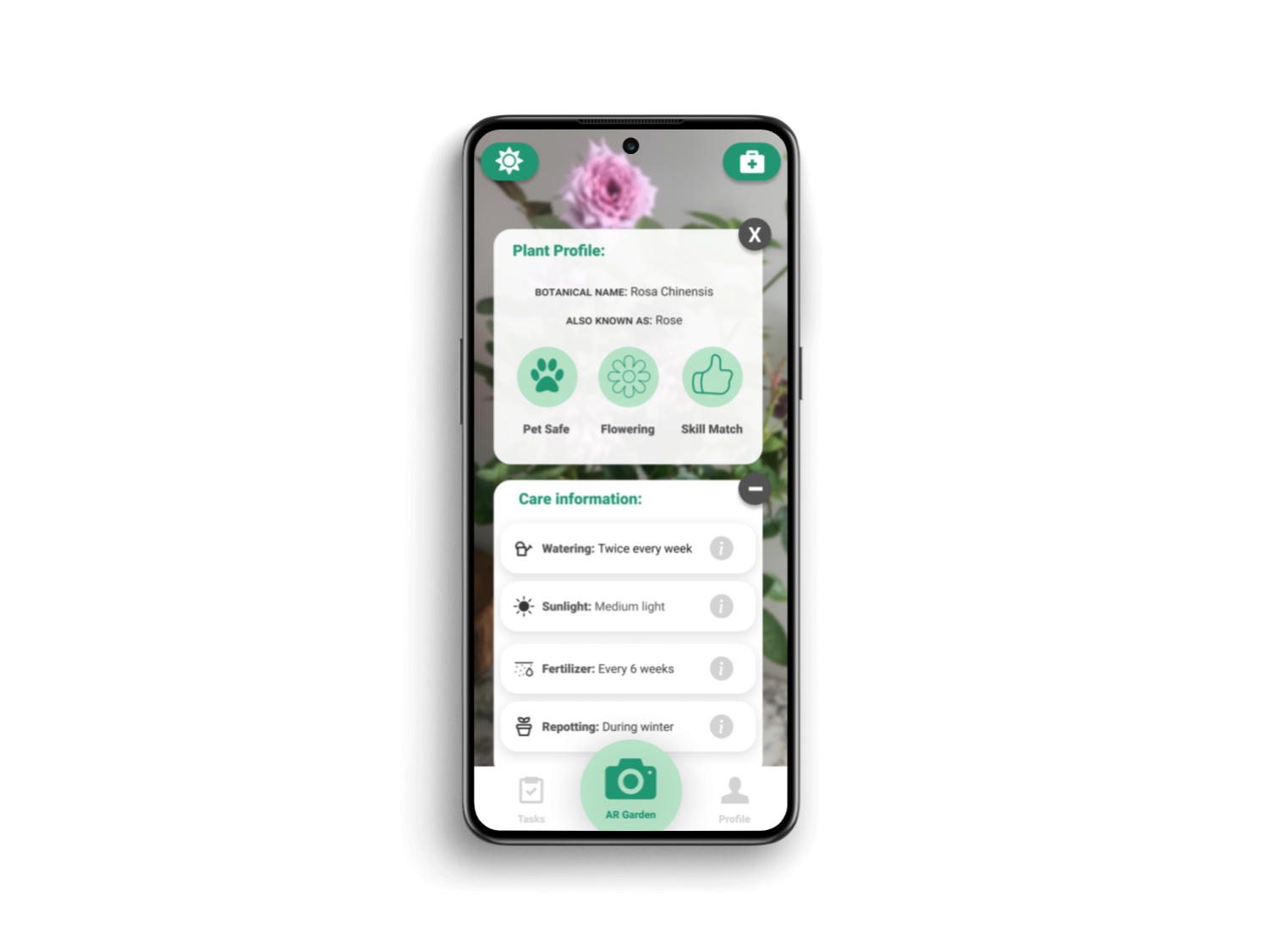 image of sprouts information feature, displaying the care details of an identified plant. 
