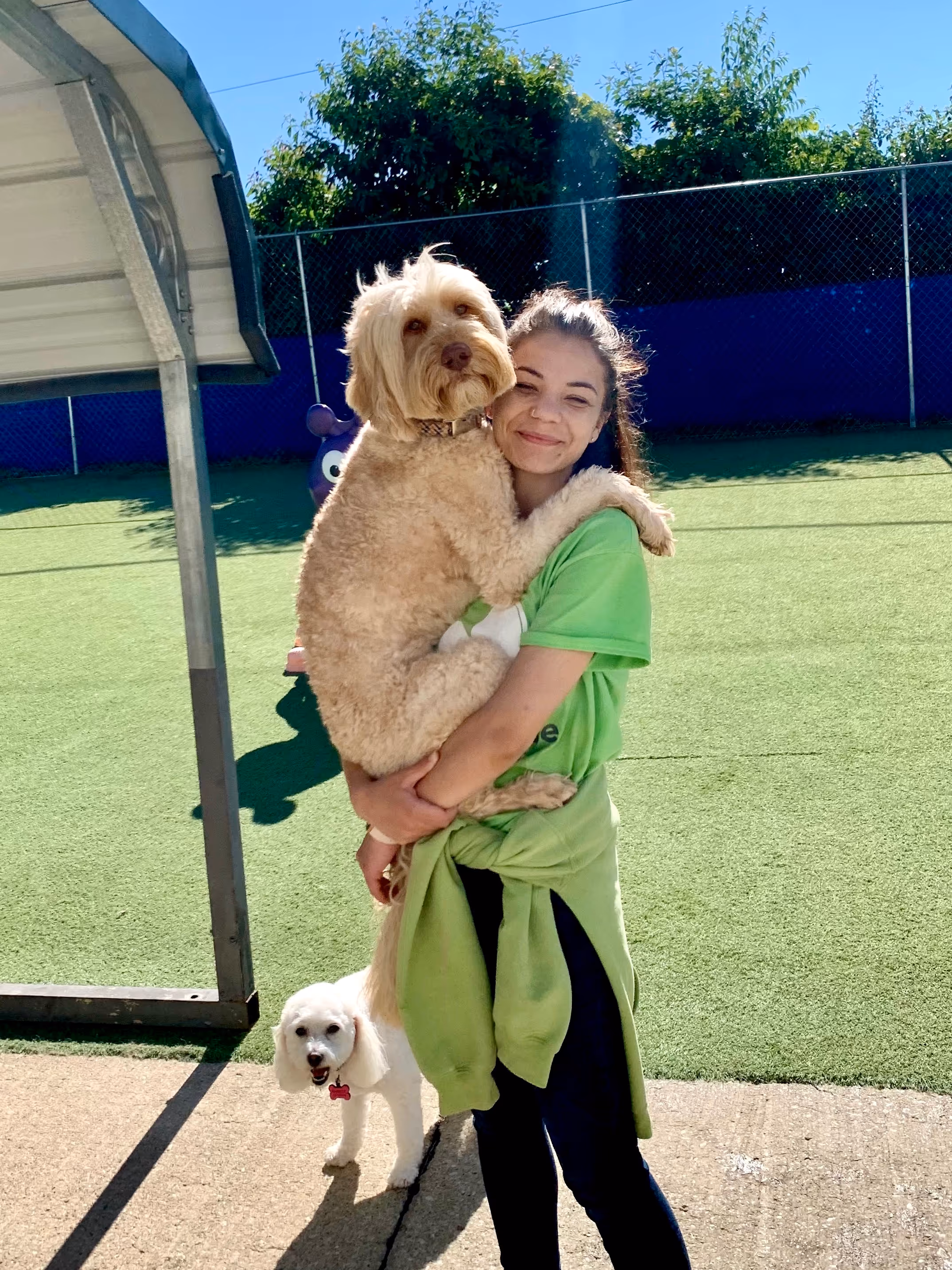A smiling young woman in a green shirt holding a large beige dog while a small white dog stands nearby on a sunny outdoor turf area.