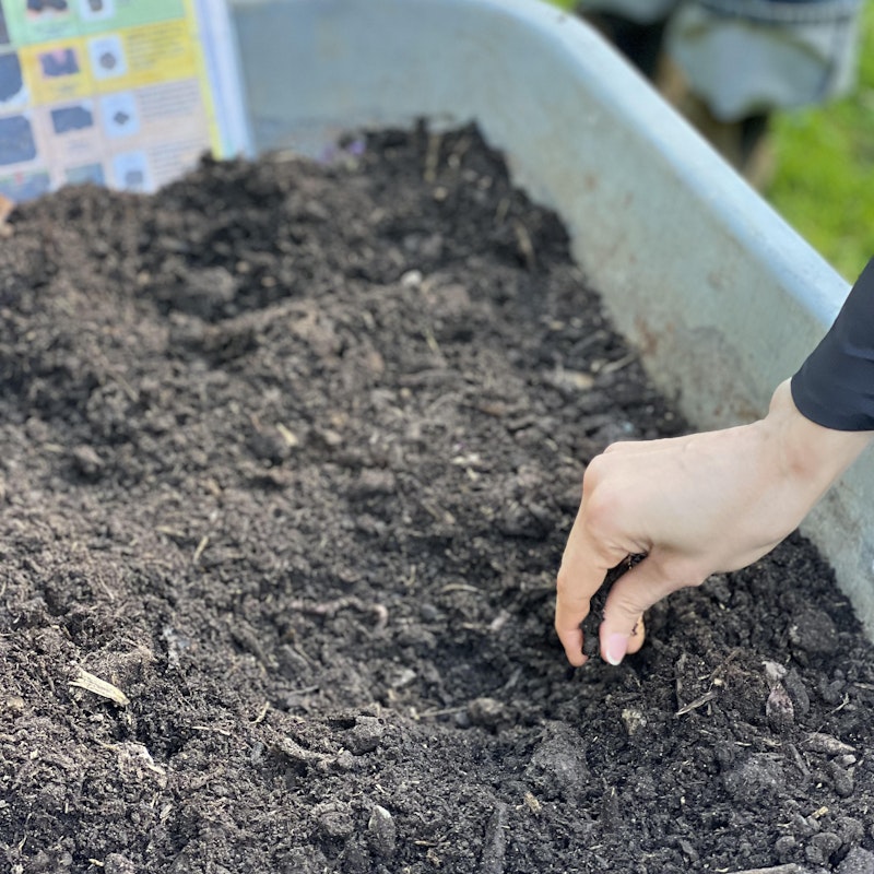 The Living Soil: Health, Function & Future