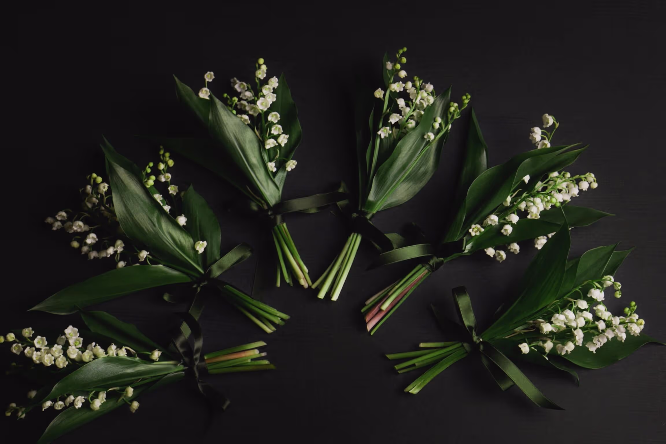 Handblommor - Begravningar