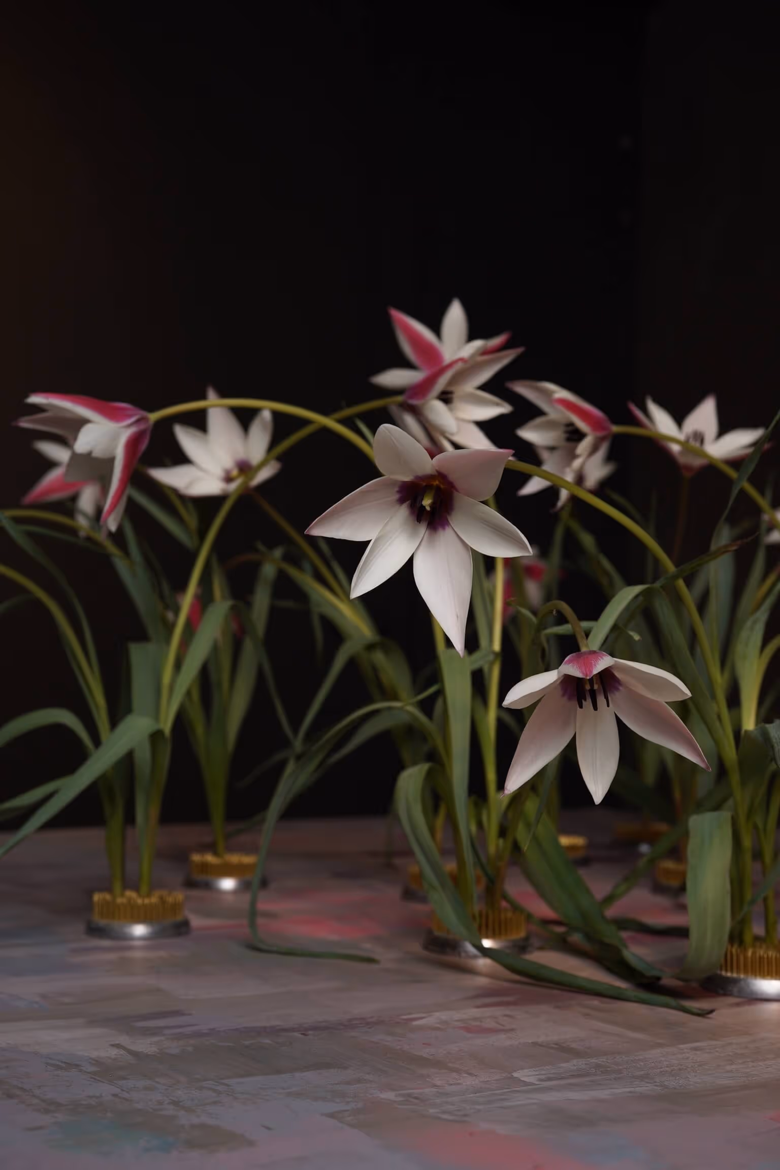 Blomster till fest & evenemang