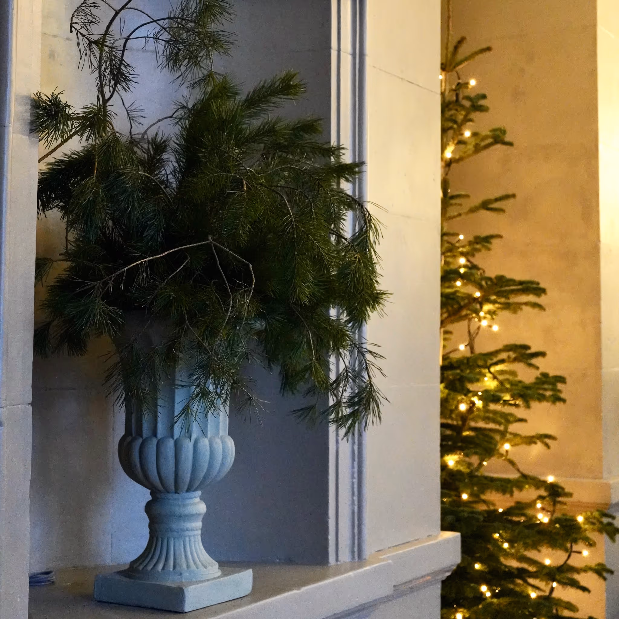 Fest och evenemangsblommor