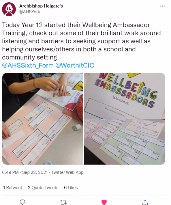 Wellbeing Ambassadors Testimonial