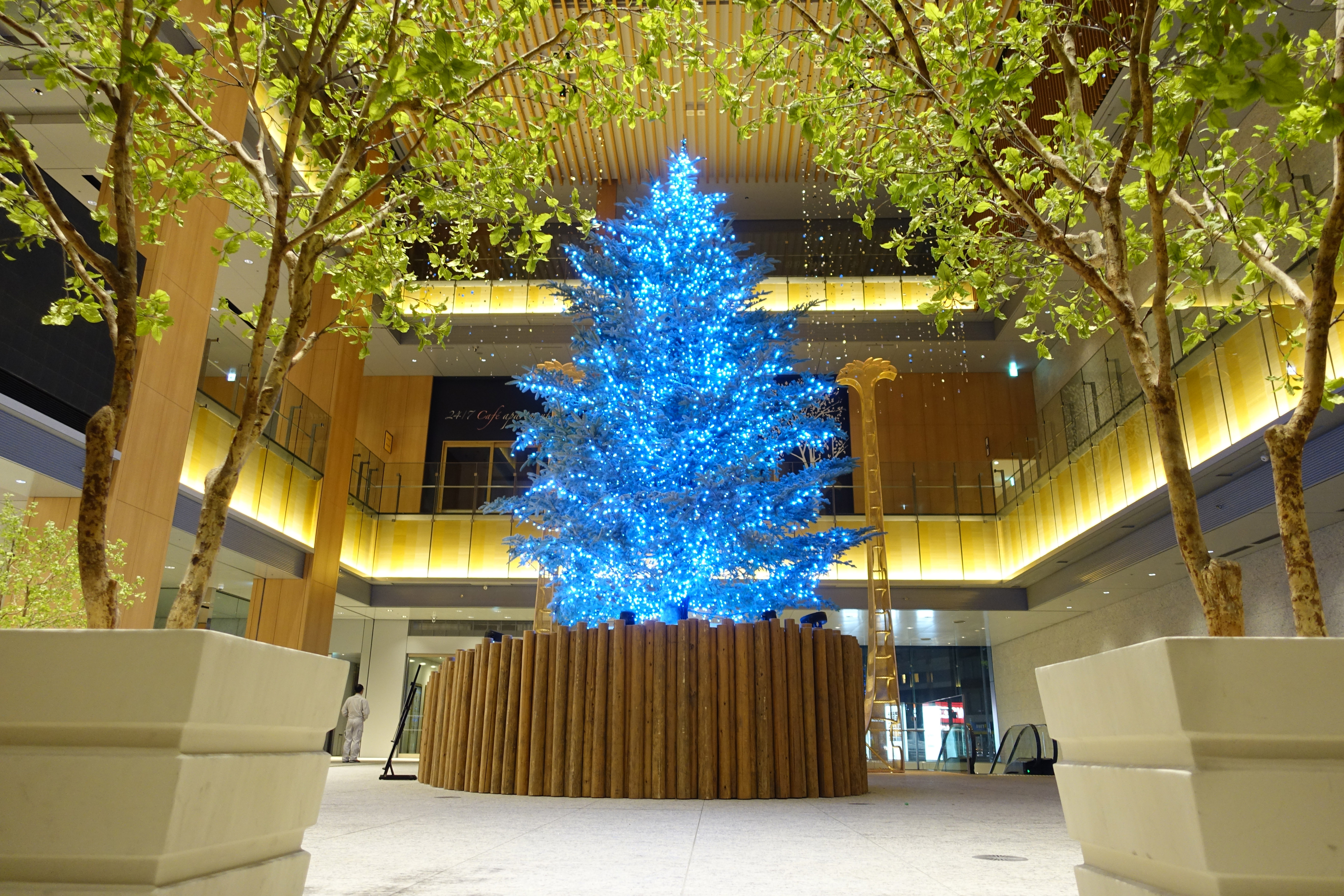 愛知県の商業施設クリスマスツリーの内装デザイン事例(株式会社ア・ファクトリー) 愛知県の商業施設クリスマスツリーの内装デザイン事例(株式会社ア・ファクトリー)