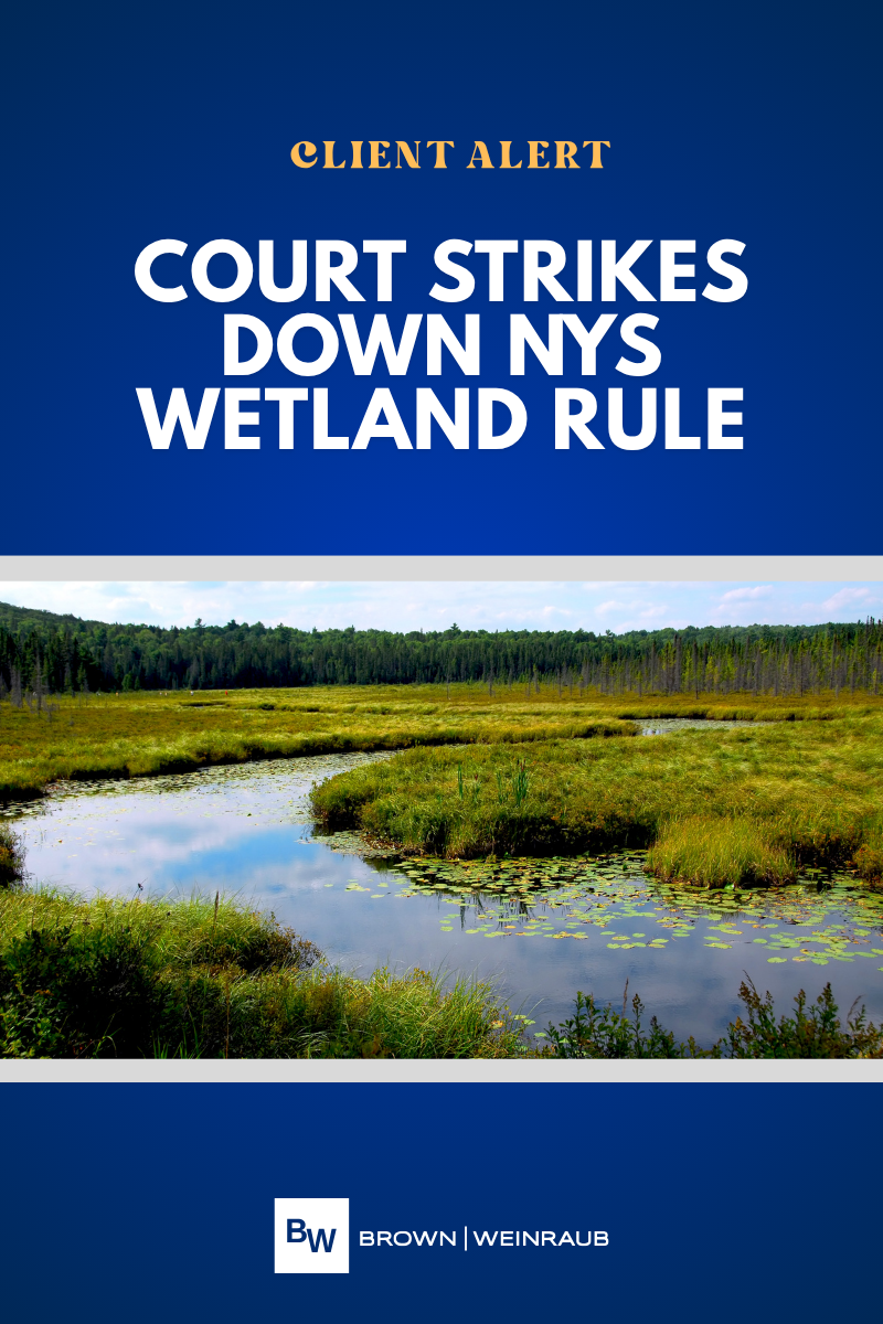 Court strikes down NYS Wetland Rule