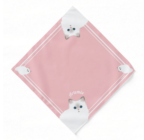 Personalisable Ragdoll Cat Gifts