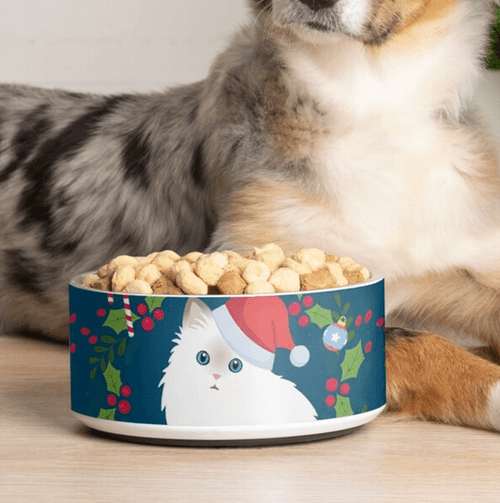 Christmas Ragdoll Cat