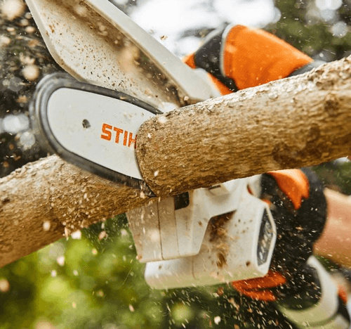 chainsaw safety awareness