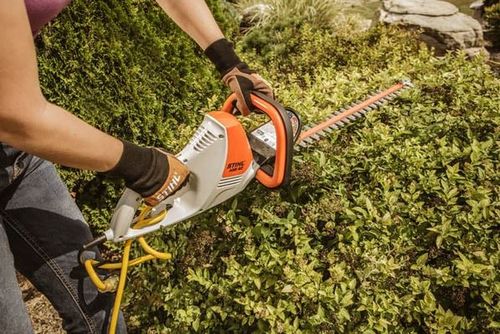 hedge trimmer tauranga
