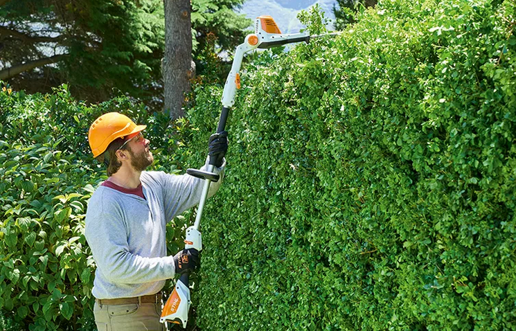 hedge trimmer tauranga