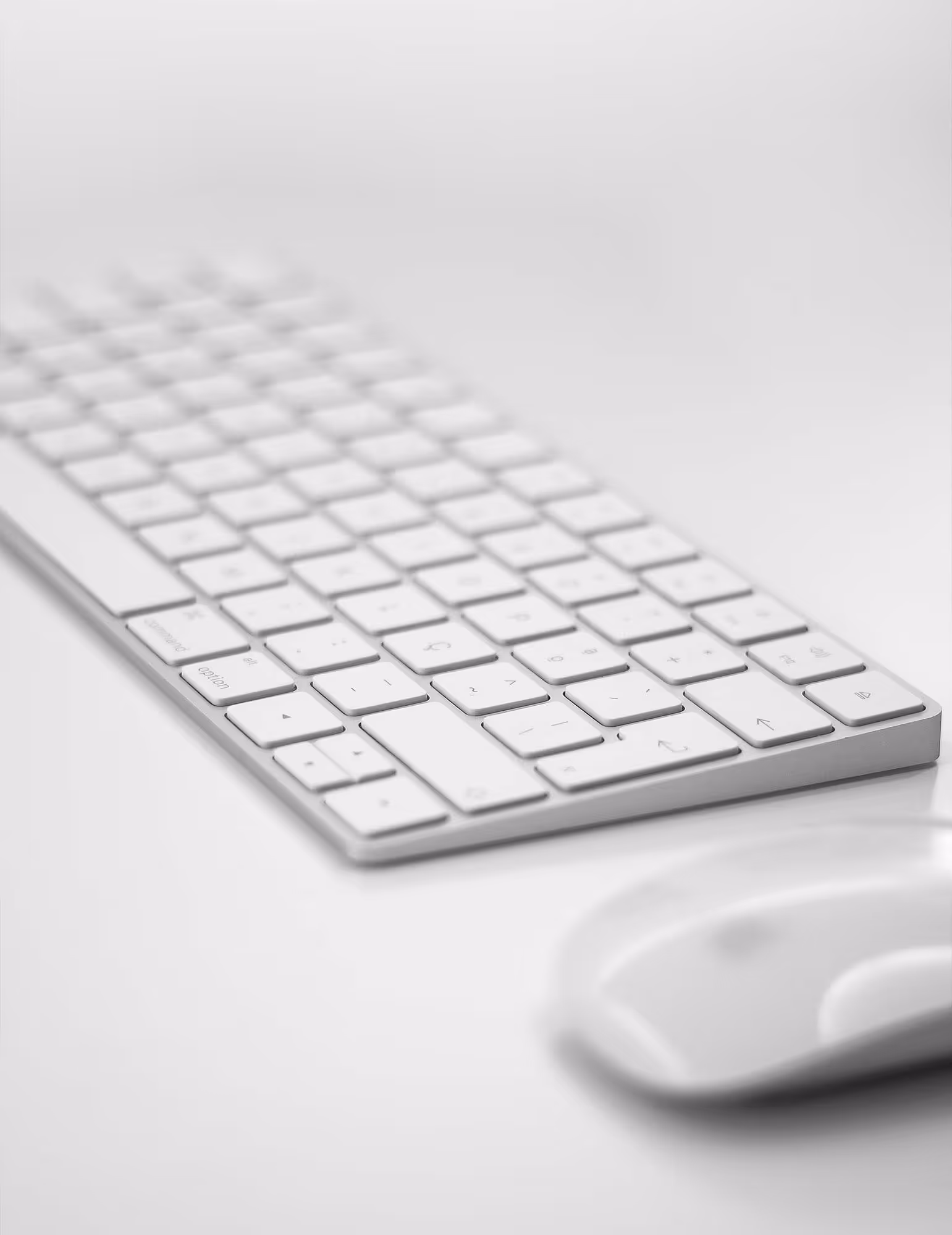 Magdeburg Webdesign Formflut Webdesigner