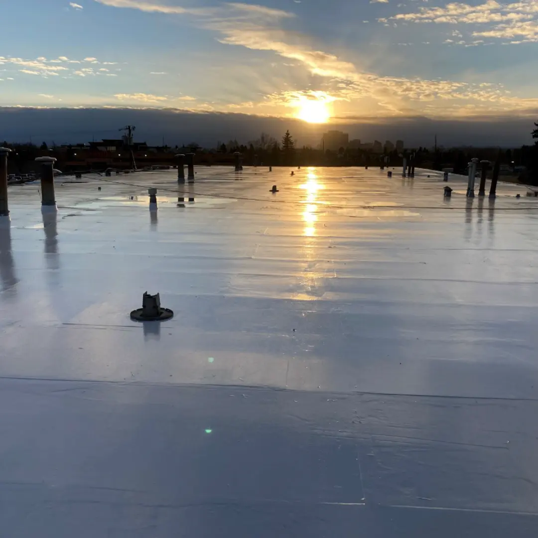 Emergency Roofing