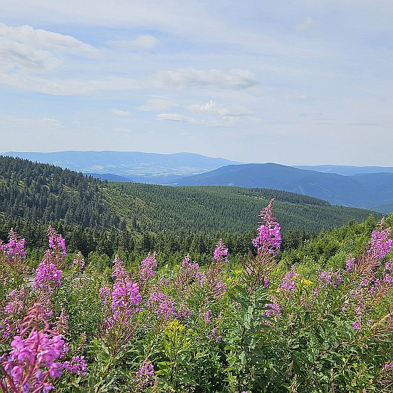 Lekce jógy vedená učitelkou sedící v sedu na patách.