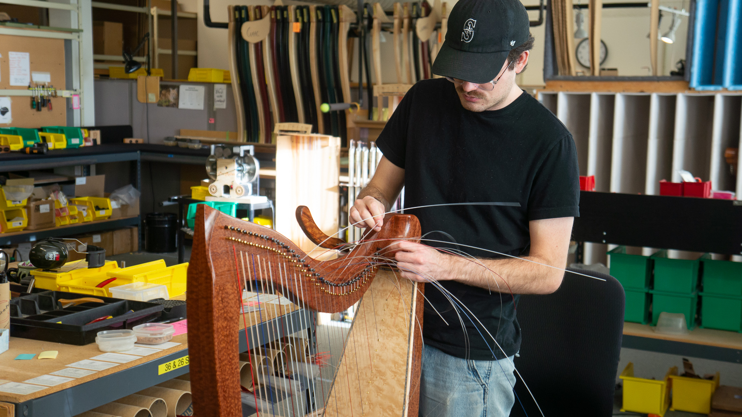 Stringing the harp