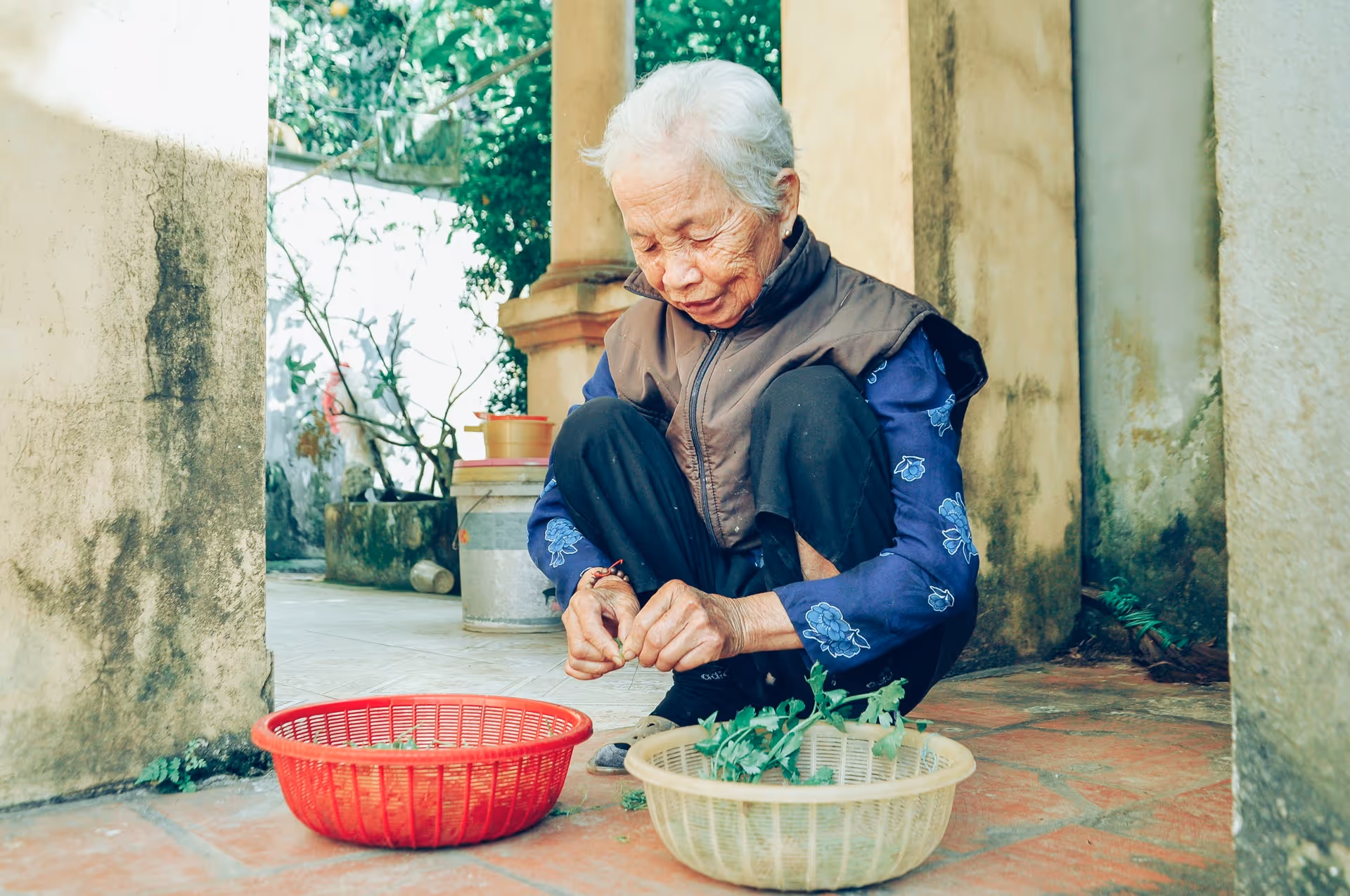 Elderly Asian woman preparing herbs