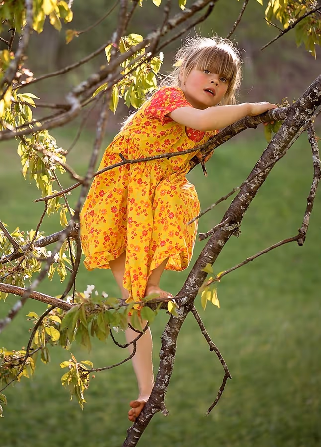 a little girl climbing on a tree