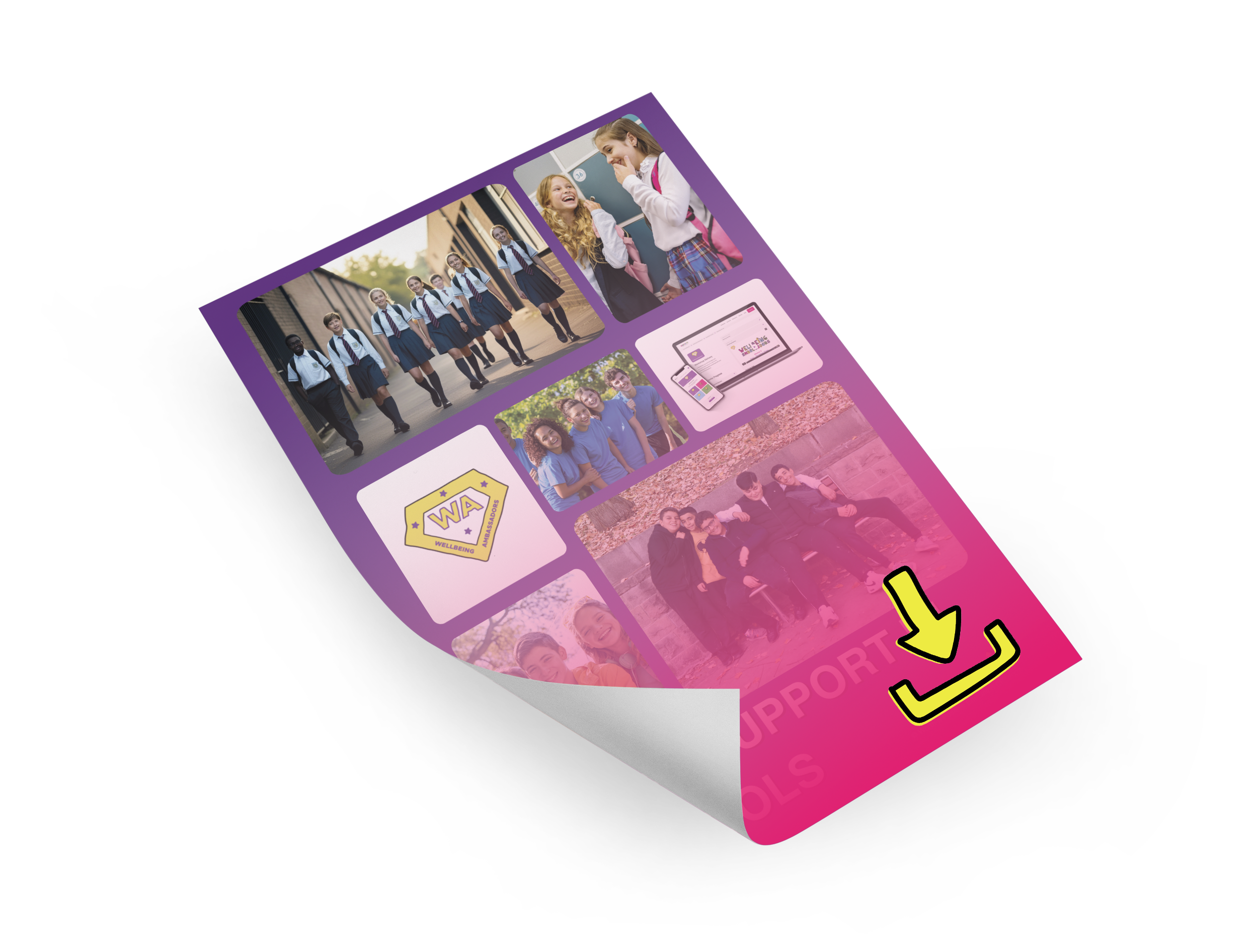 Image of Peer Support and Ofsted Info pack for schools