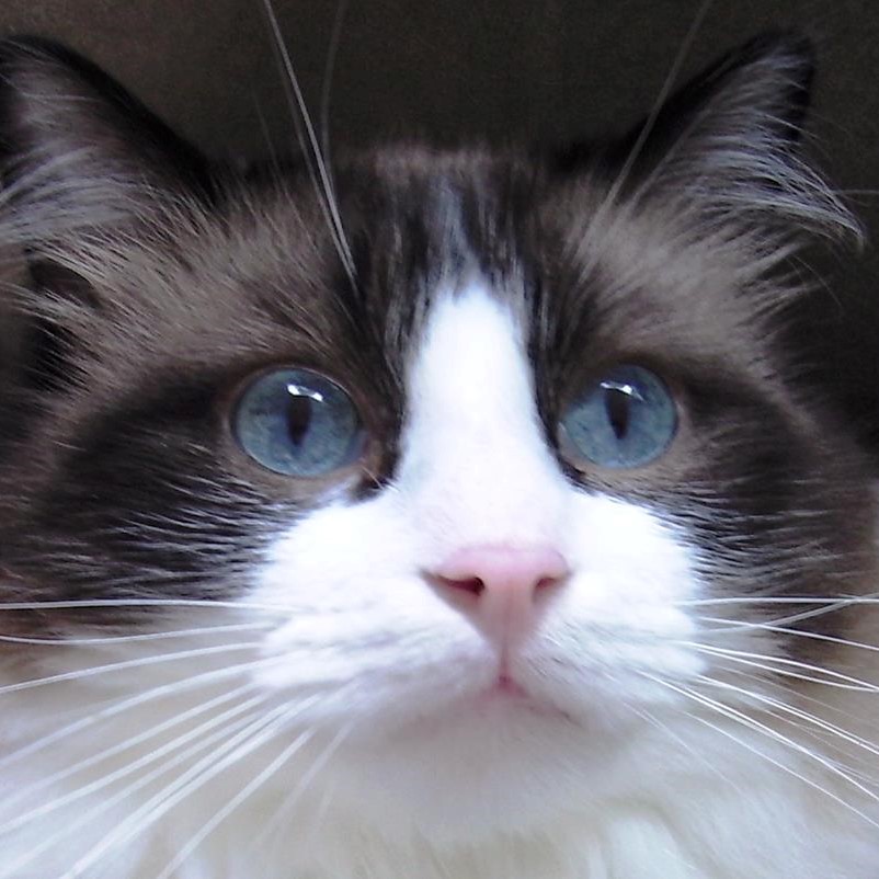 profielfoto Damon