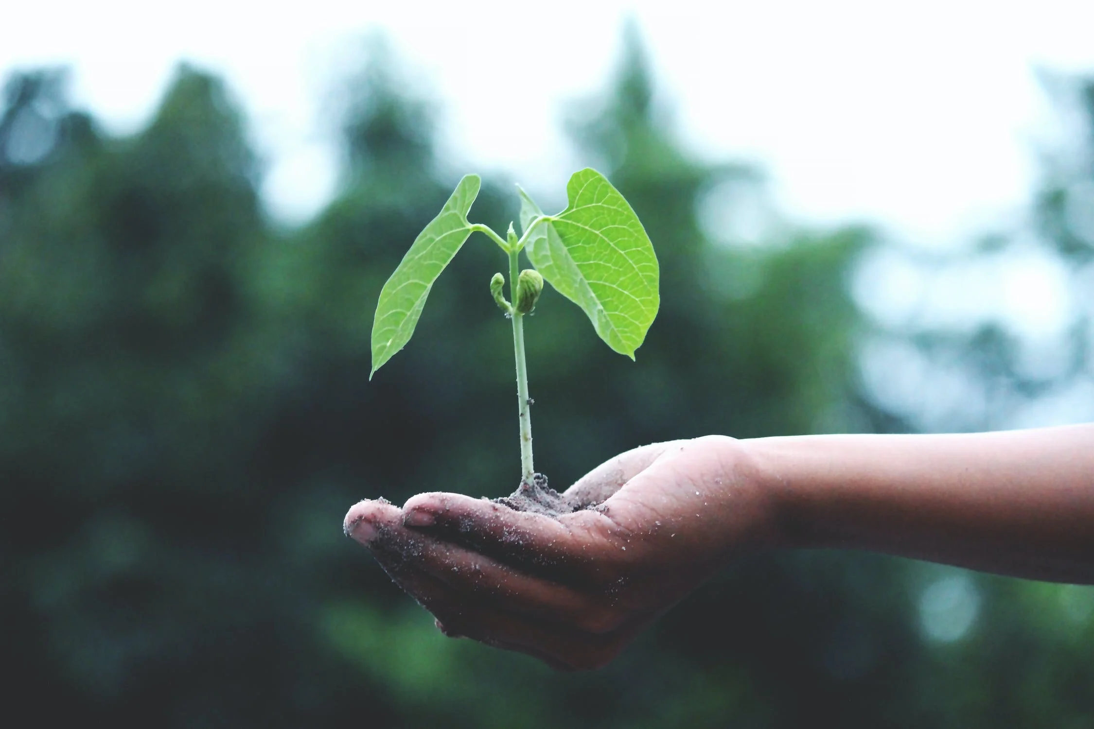 5 ways in which marketing leaders can improve their ESG strategies