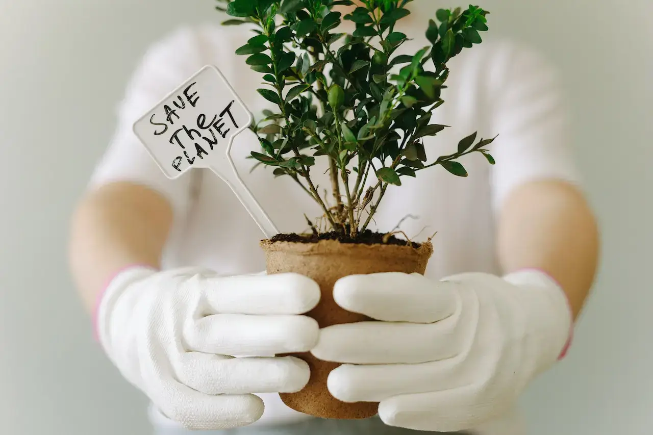 Practical Ways to Reduce Paper Waste, Including Mobilo Digital Business Cards