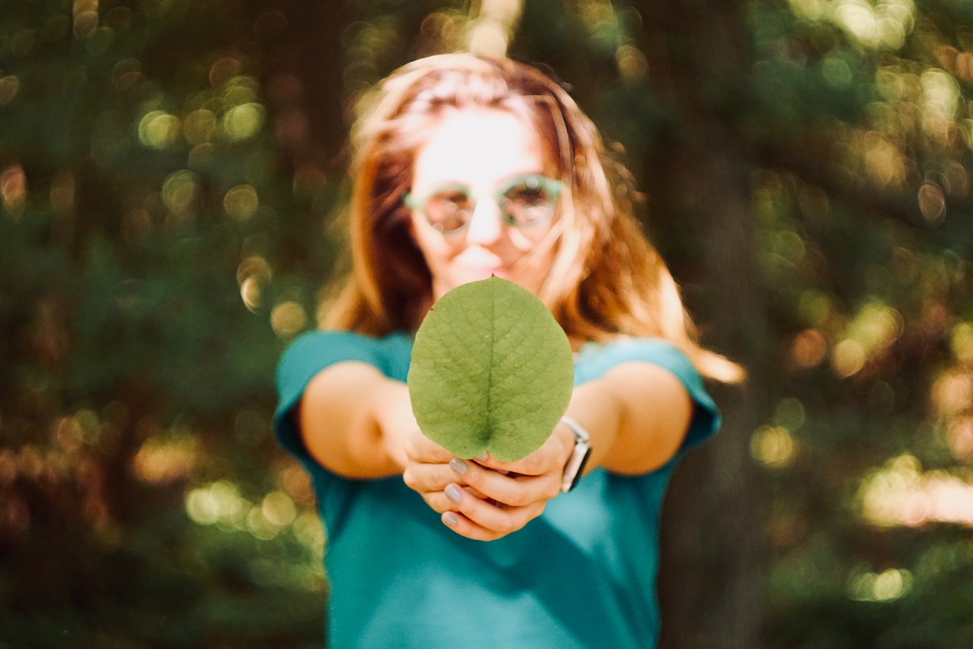 What is Sustainable Networking and how can you benefit from it?