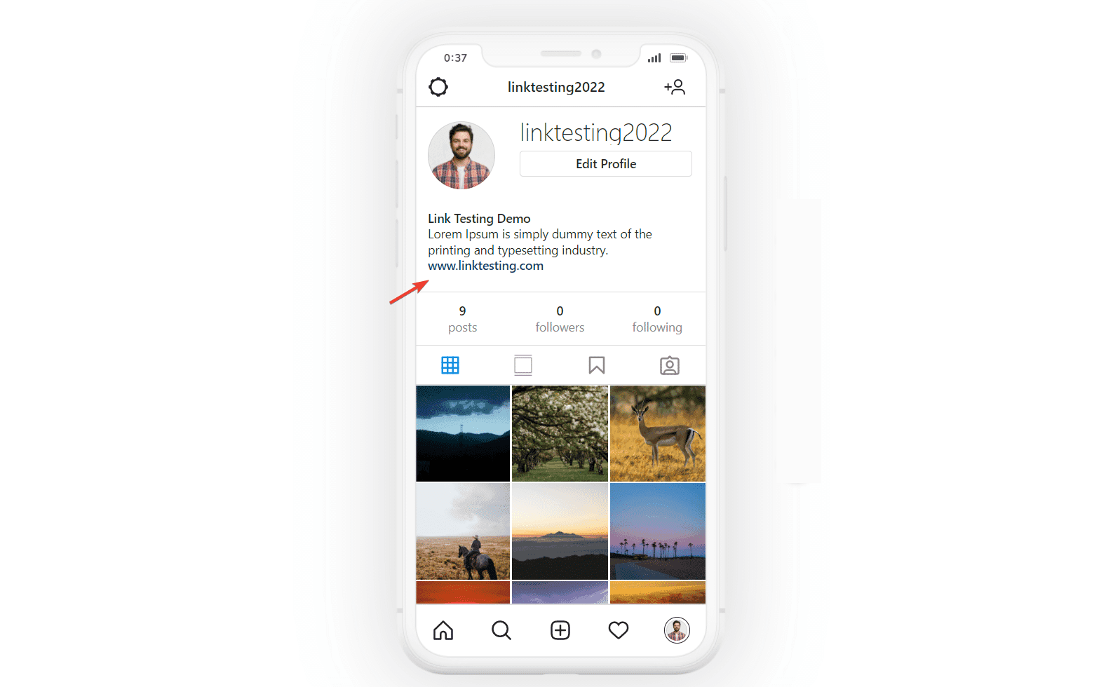 Instagram profile featuring bio website link - How to Add Link to Instagram Profile