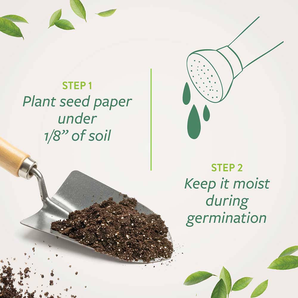 Best Trade Show Giveaways - seed paper branded notecards