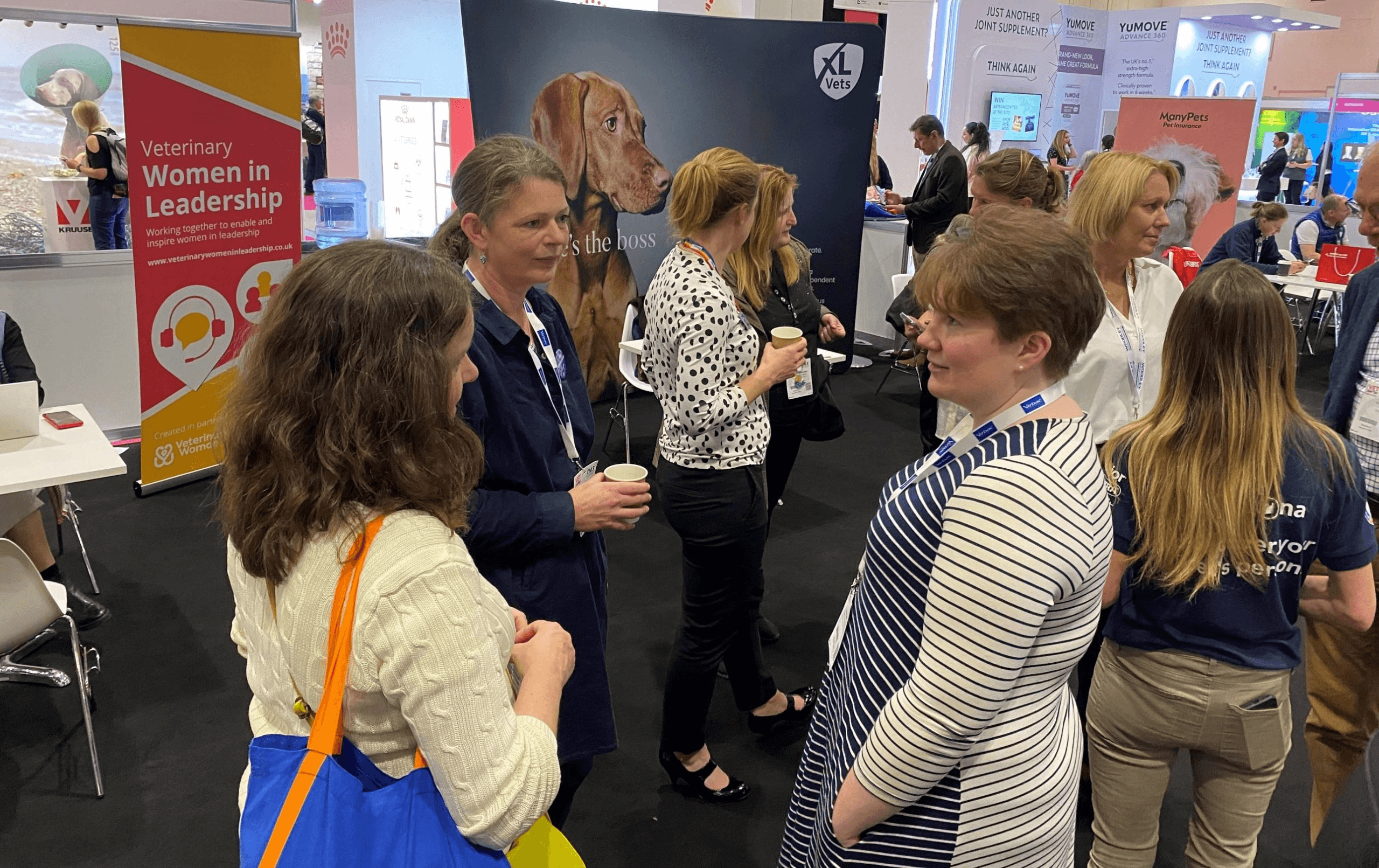 Women networking at veterinary leadership event -  Networking Activity Ideas for Conferences