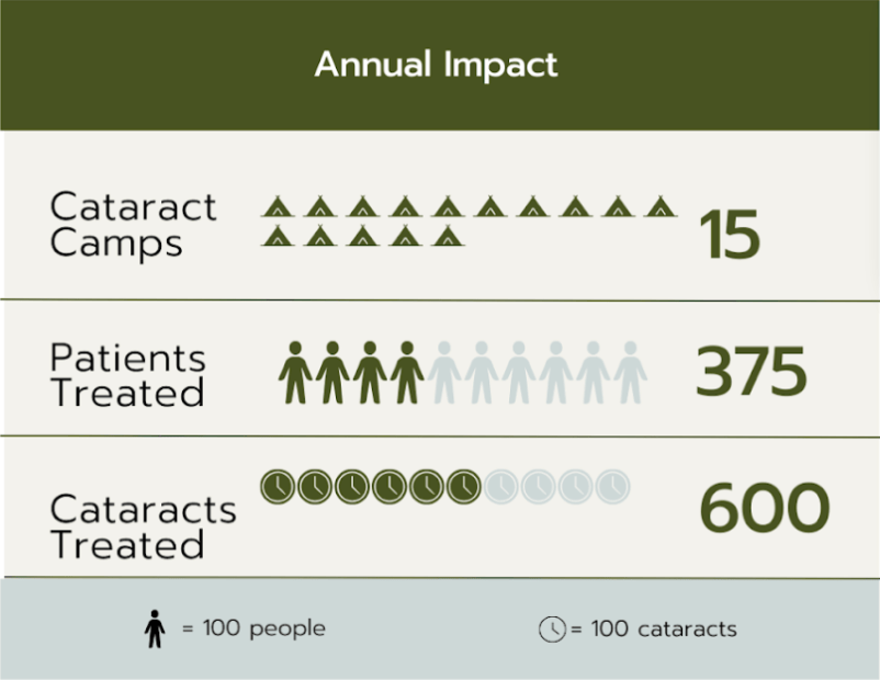Annual Impact infographic showing 15 cataract camps, 375 patients treated, 600 cataracts treated.