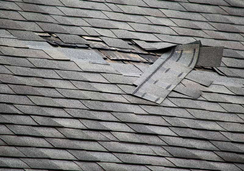 Damaged asphalt shingles on a Calgary home, causing a roof to leak