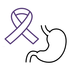 Stomach cancer ribbon and stomach icon.